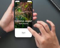 typ-kolorystyczny-ciemna-jesien-ebook